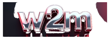 w2m logo